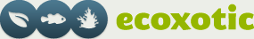 ecoxotic